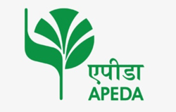 Apeda-Logo