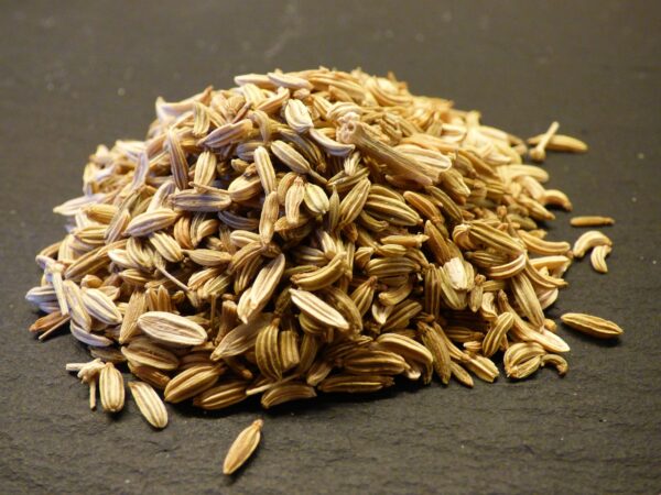 fennel, seeds, aromatic plant-307555.jpg